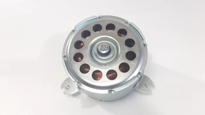 Motor Da Ventoinha Do Radiador Citroen Xsara Picasso 2.0