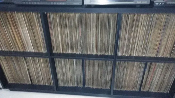 Discos de Vinil Rock, Pop, Metal, Jazz, Blues, Punk, Rap, Mpb Lp Disco Atualizado 30/11/25