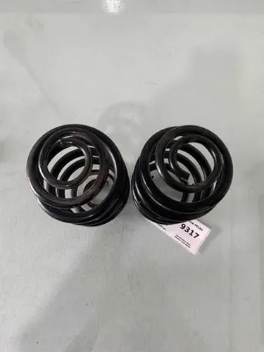 Par De Mola Tras. Renault Clio Sedan