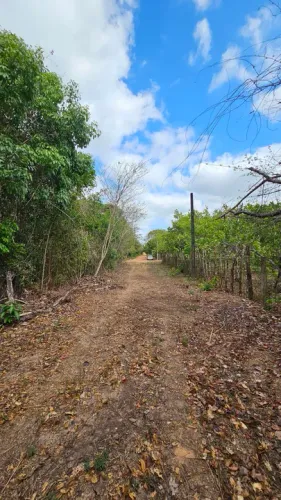 VENDO 20 hectares, TERRENO NA BR343, ENTRE TERESINA/ALTOS.