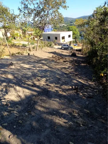 Lote marmeleiro 