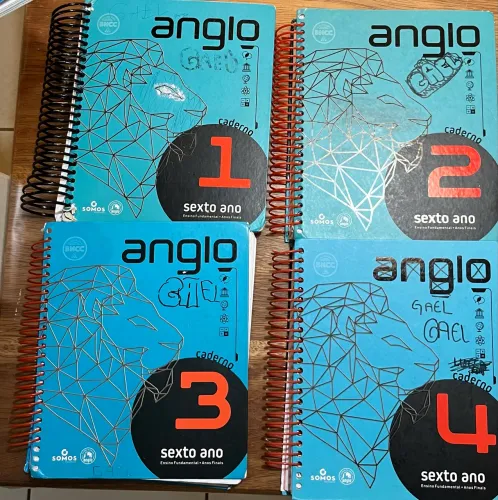 Apostilas 6º Ano Anglo 