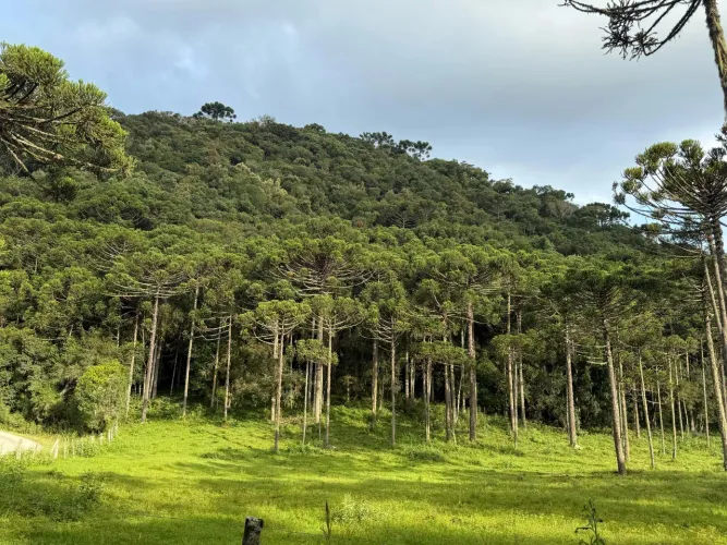 21 hectares de áreas de várzea e matos, fácil acesso e pagamento facilitado