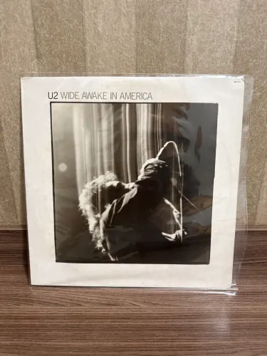 Disco de Vinil LP U2 (sem encarte)