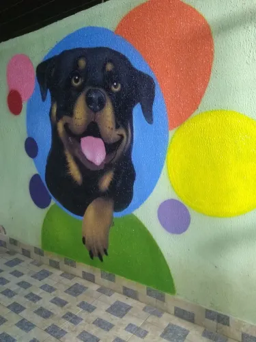 Grafite