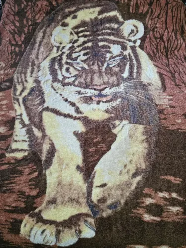 Cobertor tigre 2,20 x 1,90 R$ 100,00 - leia a descrição