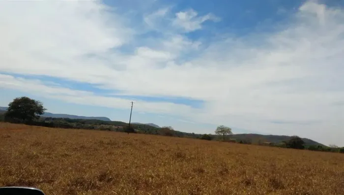 Venda de fazenda em Jaraguá: 232 hectares (48 alqueires), dupla aptidão