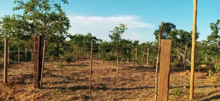 Lote em condomínio em Rua Pacífico Mascarenhas, s/n - Centro - São Vicente/MG