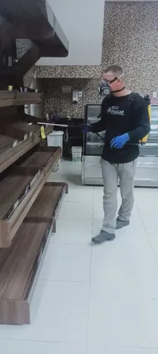 Serviço profissional de dedetização controle de pragas