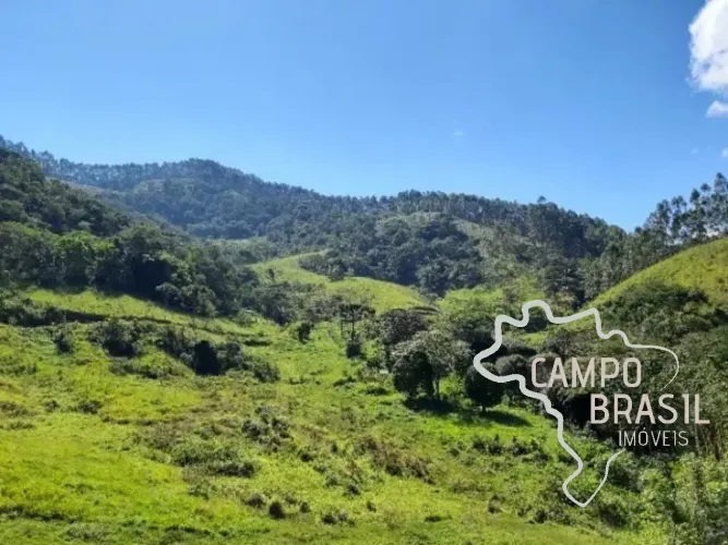 ÁREA RURAL 24 HECTARES COM CACHOEIRA EM MONTEIRO LOBATO !
