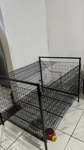 Berço Pet gaiola grande para cachorro