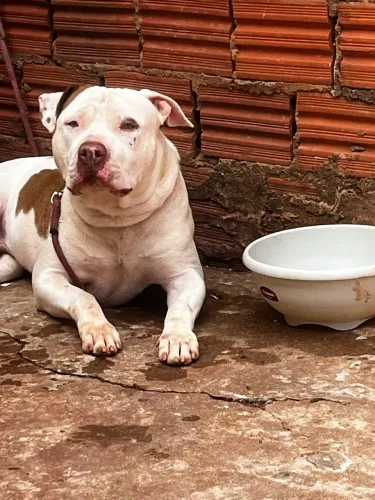Doação urgente
