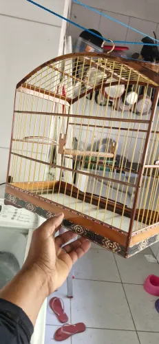 Gaiola