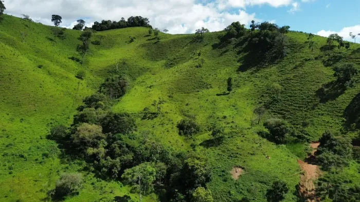 terreno em cambuí  MG com 132 mil metros  e nascentes