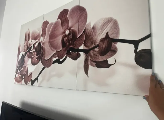 Kit quadro orquídea 