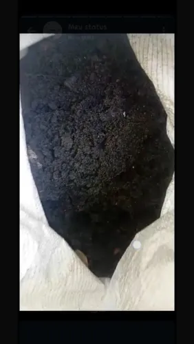 Terra preta