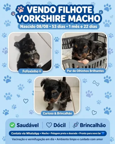 Yorkshire