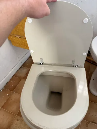 2 vazos sanitários