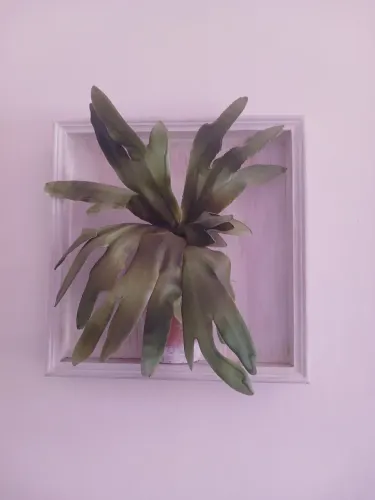 Quadro decoração 