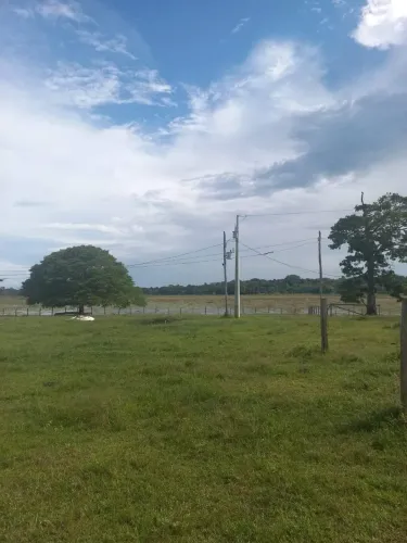 FAZENDA RURAL em MACAPÁ - AP, BRASIL NOVO
