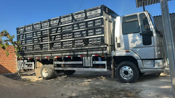 Ford Cargo 815 boiadeira Dois Irmãos 