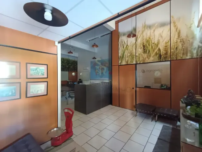 Salão comercial para alugar, amplo e versátil, localizado no bairro Jardim Nova Aliança, e