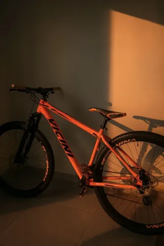 Bicicleta Vicini Aro 29 com marcha e freio a disco