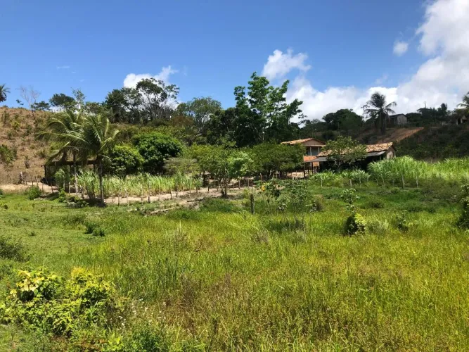 VENDE-SE SÍTIO 4 TAREFAS EM ITAPORANGA D'AJUDA/SE