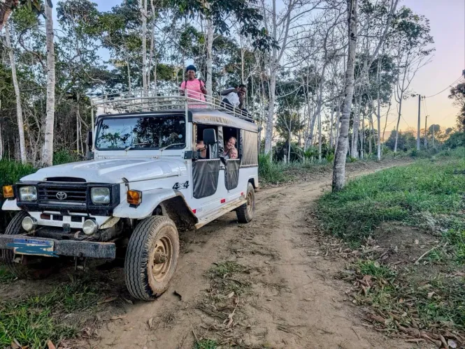 Toyota Band.Jipe Capota de Lona Diesel 1990