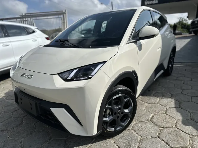 BYD Dolphin Mini (Elétrico) 2027