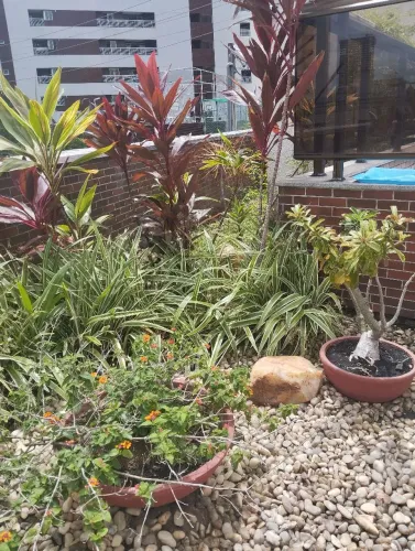 Jardineiro
