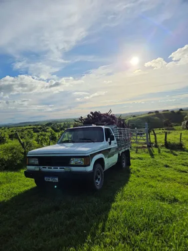 D20 disponível para frete