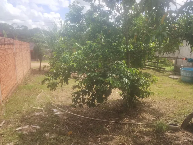 Terrenono próximo a tv acre