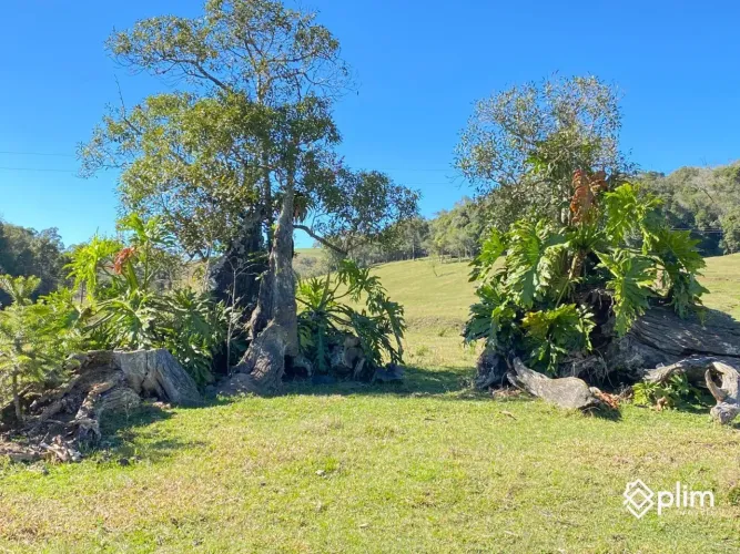 Fazenda dos Sonhos - 62 hectares Bom Retiro Serra Catarinense
