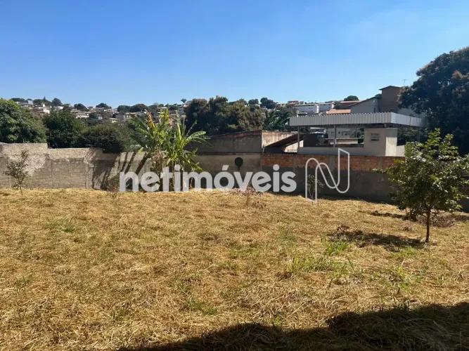 Venda Lote-Área-Terreno Glória Belo Horizonte