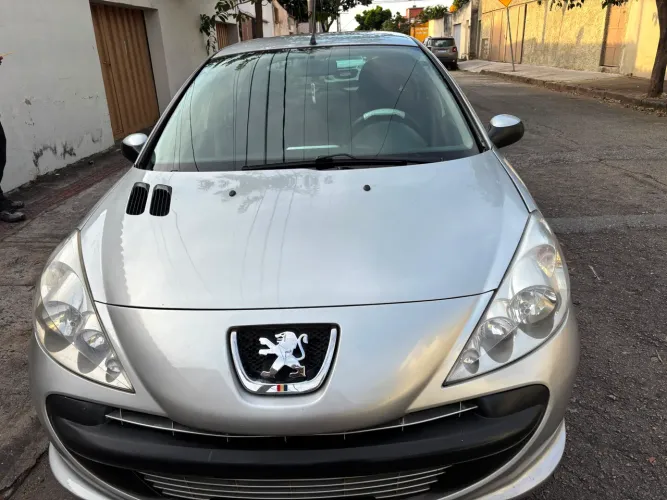 Peugeot 207 XR 1.4 Flex 8V 5P 2011