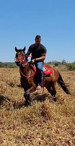 Égua Machadeira (Esperta e muito Mansa pra Mulher e Criança).