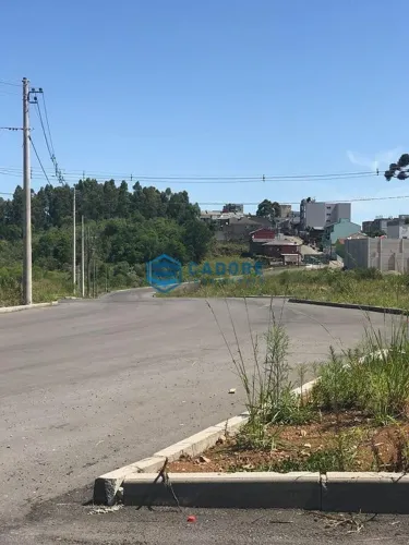 LOTEAMENTO COM 378,54m² NO MARILAND