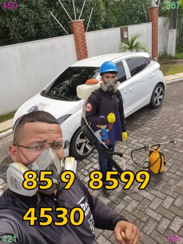 Dedetizacao em Maraponga e Praia de Iracema com qualidade e segurança!