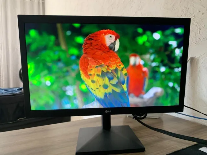 Monitor LG 19.5" (20MK400H-B) - Impecável / Estado de Novo!