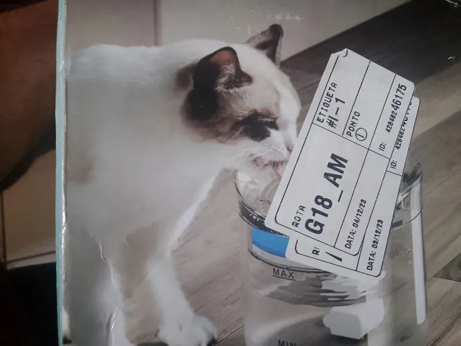 Bebedouro elétrico pra gato 