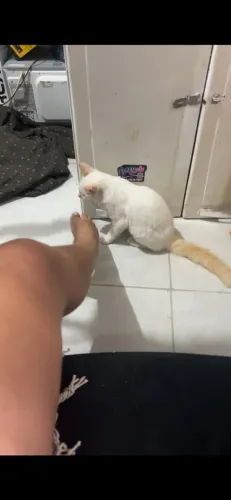 Doação