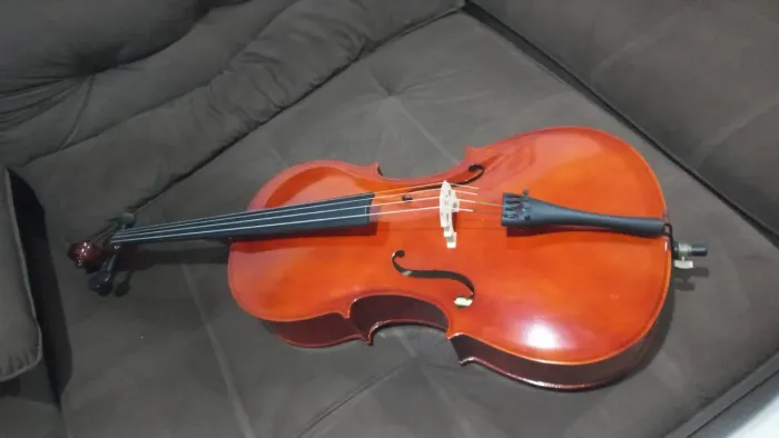 Violoncelo Alan 3/4