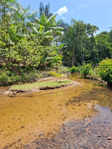 Sítio maravilhoso no rio preto da eva.69