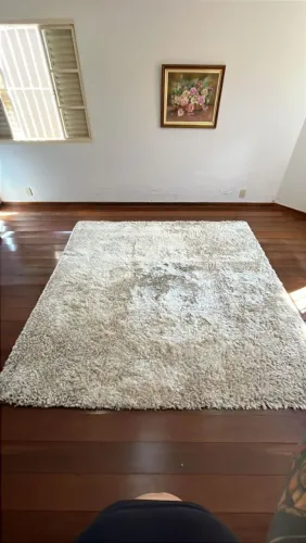 Carpete Peludo Felpudo Bege Mesclado 2,5m x 2,5m
