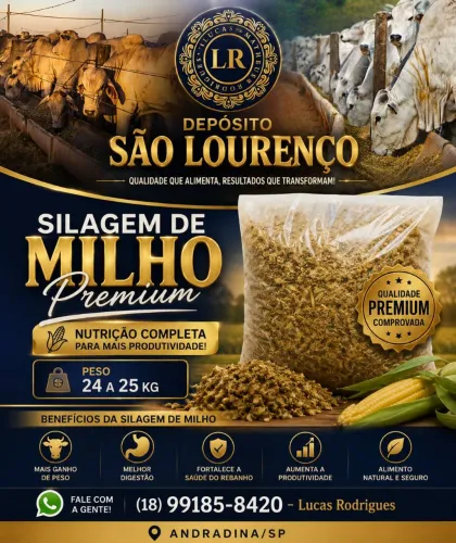 Silagem de milho ?
