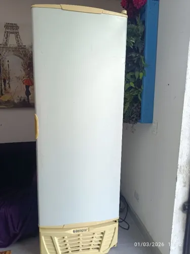 Freezer vertical gelopar