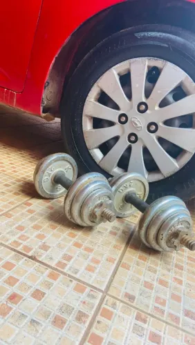 Halteres pra treino