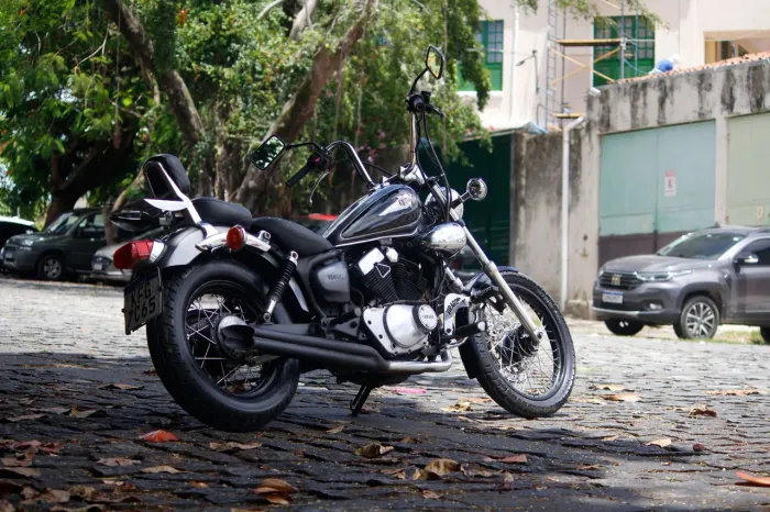 Virago 250