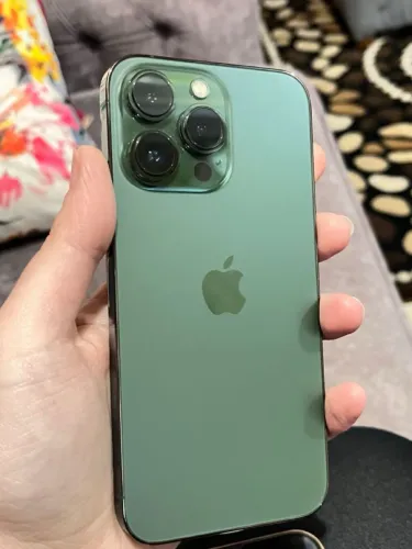 iPhone 13 Pro Max 256G